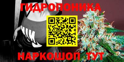 эйфоретик Жуковский