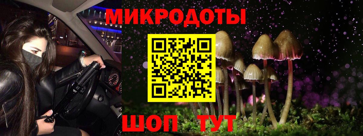 Галлюциногенные грибы GOLDEN TEACHER Малгобек